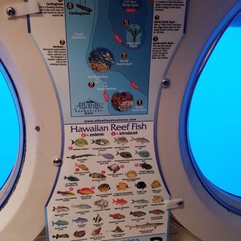 Atlantis Submarines - Guide was helpful! - Tours Near Me - Lahaina, Hawaii Atlantis Submarines - Guide was helpful! - Tours Near Me - Lahaina, Hawaii