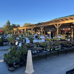 SummerWinds Nursery - Novato