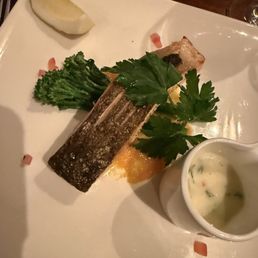 Salmon