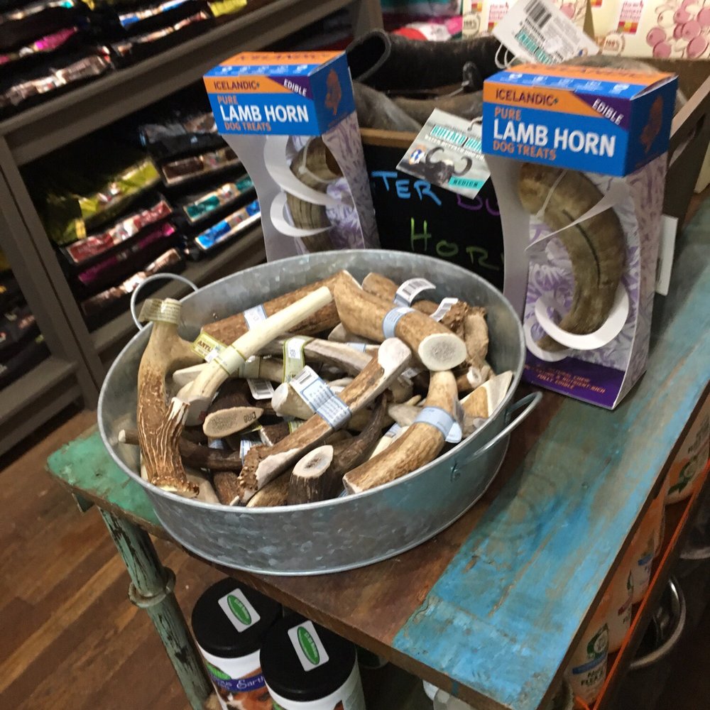 Bark Street Petopia - Awesome antler selection. - Pet Stores Near Me - Marietta, Georgia Bark Street Petopia - Awesome antler selection. - Pet Stores Near Me - Marietta, Georgia