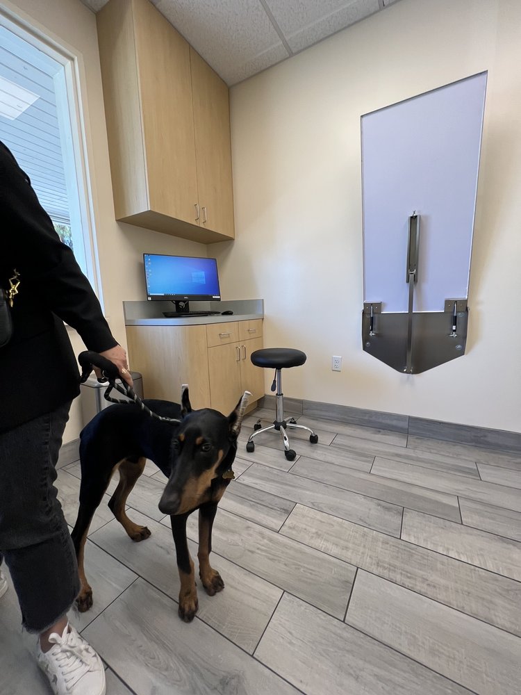 ANIMAL ORTHOPEDIC CENTER Updated October 2024 10 Photos & 10