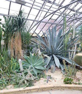 Rockefeller Park & Greenhouse by null