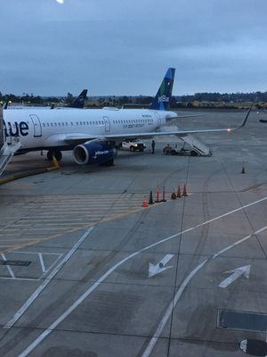 JetBlue by null