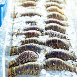 Ocean2fish Seafood Market
