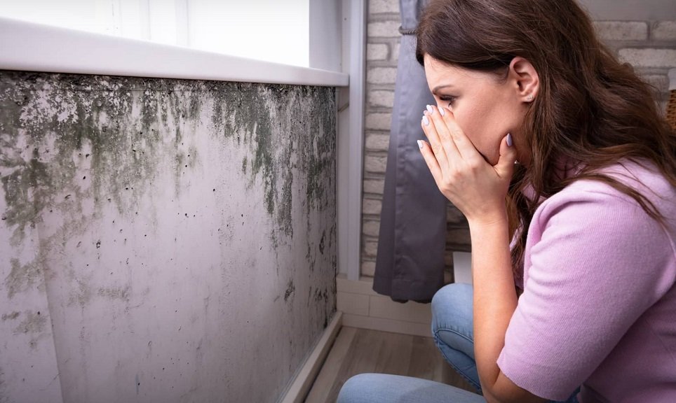 Preferred Environmental Solutions - mold inspector in Panama City, FL