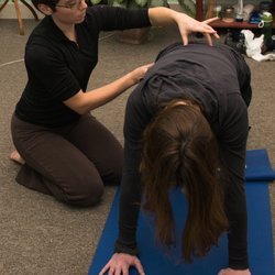 Gratitude Massage & Bodywork