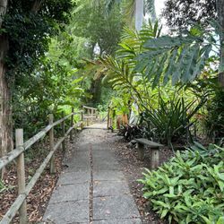 Jardín Botánico y Cultural de Caguas