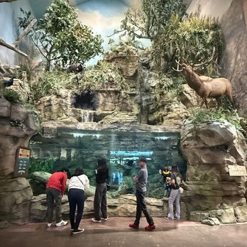 Bass Pro Shops - Beautiful outdoor scenery displays throughout the store - Accessories Near Me - Irvine, California