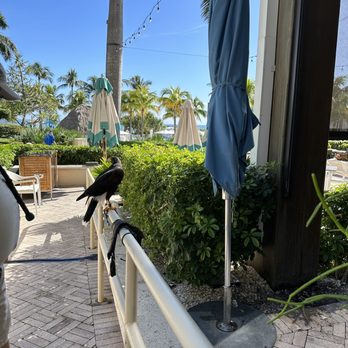 The Ritz-Carlton Key Biscayne, Miami - Hotels Near Me - Miami, Florida The Ritz-Carlton Key Biscayne, Miami - Hotels Near Me - Miami, Florida