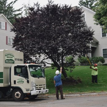 Northern Boston Tree Service - Tree Services Near Me Northern Boston Tree Service - Tree Services Near Me