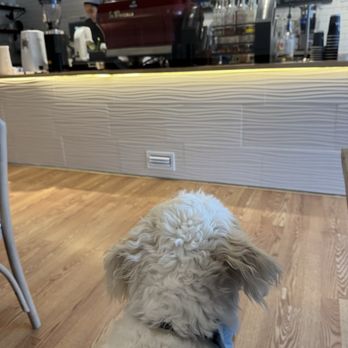 Naga Coffeehouse - Coffee & Tea Near Me - Cranston, Rhode Island Naga Coffeehouse - Coffee & Tea Near Me - Cranston, Rhode Island