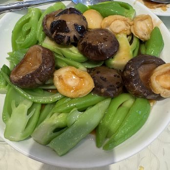 Golden Palace - Japanese mushroom & Abalone with mustard green - Dim Sum Near Me - San Jose, California Golden Palace - Japanese mushroom & Abalone with mustard green - Dim Sum Near Me - San Jose, California