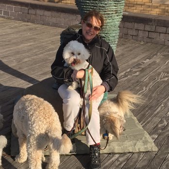 ParagonTails - Walking dogs to fun plCes - Dog Walkers Near Me