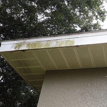 Go Noble Cleaning Services - Gutter & Fascia cleaning. Give your home a teeth whitening! - Pressure Washers Near Me Go Noble Cleaning Services - Gutter & Fascia cleaning. Give your home a teeth whitening! - Pressure Washers Near Me