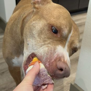 Three Dog Bakery - Pet Stores Near Me - Mansfield, Texas