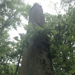 Baldpate Mountain - 6/8/2019 tower ruins