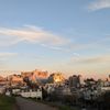 Alta Plaza Park gift card