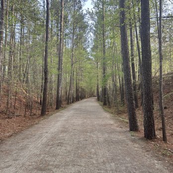 AMERICAN TOBACCO TRAIL - CHATHAM & WAKE - Updated May 2026 - 36 Photos -  1305 White Oak Church Rd, Apex, North Carolina - Hiking
