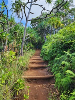 Ha'ena State Park by null