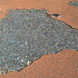 Willow West Park - watch out for potholes
