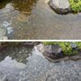 Pure Pond Solutions