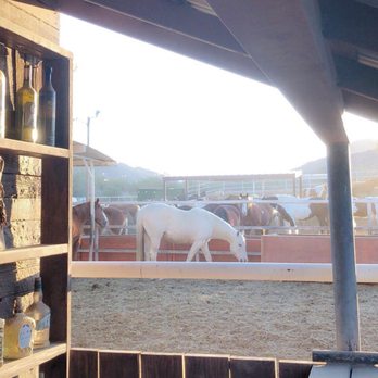 Ponderosa Stables - Horseback Riding Near Me - Phoenix, Arizona Ponderosa Stables - Horseback Riding Near Me - Phoenix, Arizona