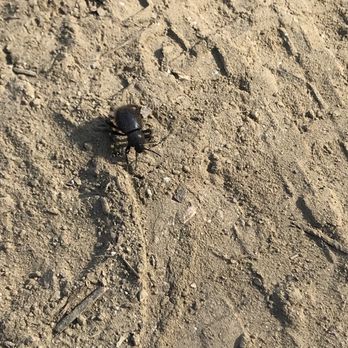 Murphy Ranch Park - What IS THAT?? - Hiking Near Me - Whittier, California