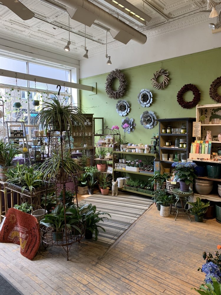 MILLEFIORI FLORIST, LTD Updated August 2024 74 Photos & 52 Reviews