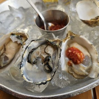Calico Fish House - Oysters were average. nothing Im gonna be thinking about tomorrow but not bad - Seafood Near Me - Huntington Beach, California Calico Fish House - Oysters were average. nothing Im gonna be thinking about tomorrow but not bad - Seafood Near Me - Huntington Beach, California