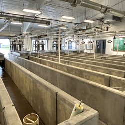 Jackson National Fish Hatchery - Hatchery