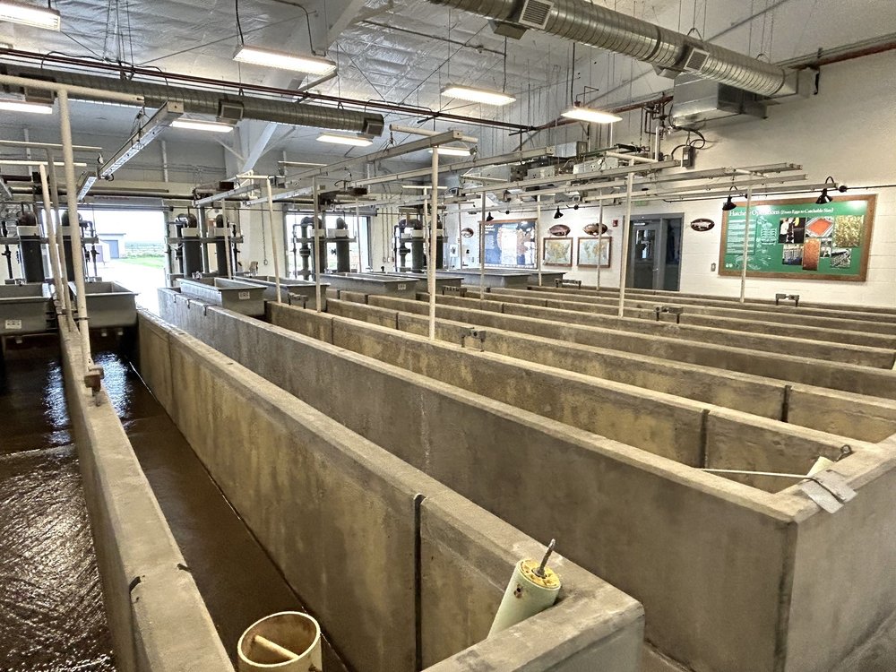 JACKSON NATIONAL FISH HATCHERY Updated October 2024 11 Photos