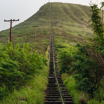 Koko Head District Park - The part where you feel like the climb is beginning - Parks Near Me - Honolulu, Hawaii Koko Head District Park - The part where you feel like the climb is beginning - Parks Near Me - Honolulu, Hawaii