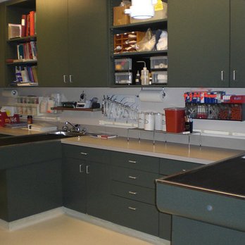 Canton Veterinary Hospital - Veterinarians Near Me - Canton, Massachusetts Canton Veterinary Hospital - Veterinarians Near Me - Canton, Massachusetts