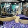 Photo of Pet Supermarket