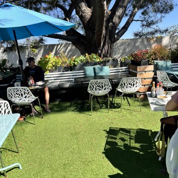 NAKED CAFE - Updated 2024 - 241 Photos & 333 Reviews - 288-C N El