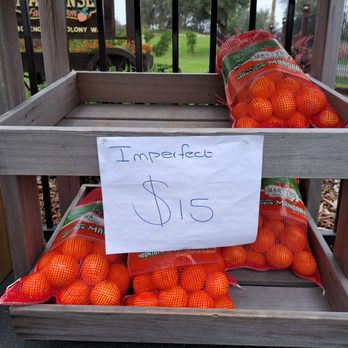 MARTYNSE FAMILY FARM - Imperfect 10 lb bag of Mandarins for $15. This is the best bargain of mandarin oranges I've found and closest to home! - Farmers Market Near Me - Penryn, California MARTYNSE FAMILY FARM - Imperfect 10 lb bag of Mandarins for $15. This is the best bargain of mandarin oranges I've found and closest to home! - Farmers Market Near Me - Penryn, California