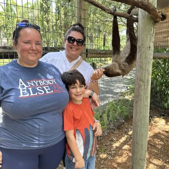 Zoological Wildlife Foundation - Sloth feeding encounter, we fed them apples - Zoos Near Me - Miami, Florida Zoological Wildlife Foundation - Sloth feeding encounter, we fed them apples - Zoos Near Me - Miami, Florida