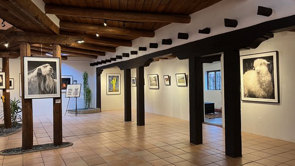 Edition ONE Gallery by null