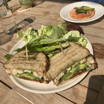 Fig Tree - Avocado Chicken Melt - Cafes Near Me - Los Angeles, California Fig Tree - Avocado Chicken Melt - Cafes Near Me - Los Angeles, California