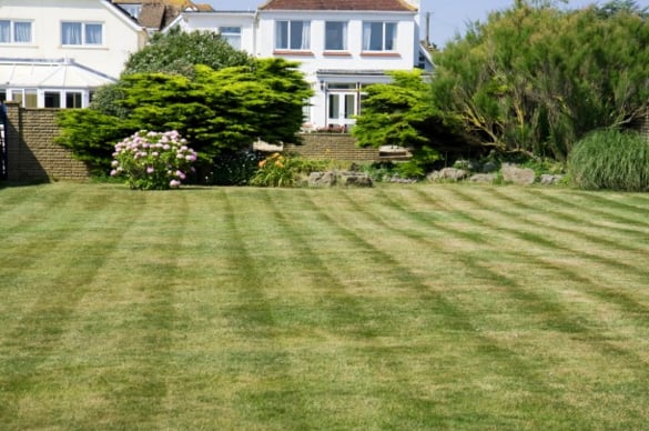 Photo of Lawn Care of Cumming - Cumming, GA, US.