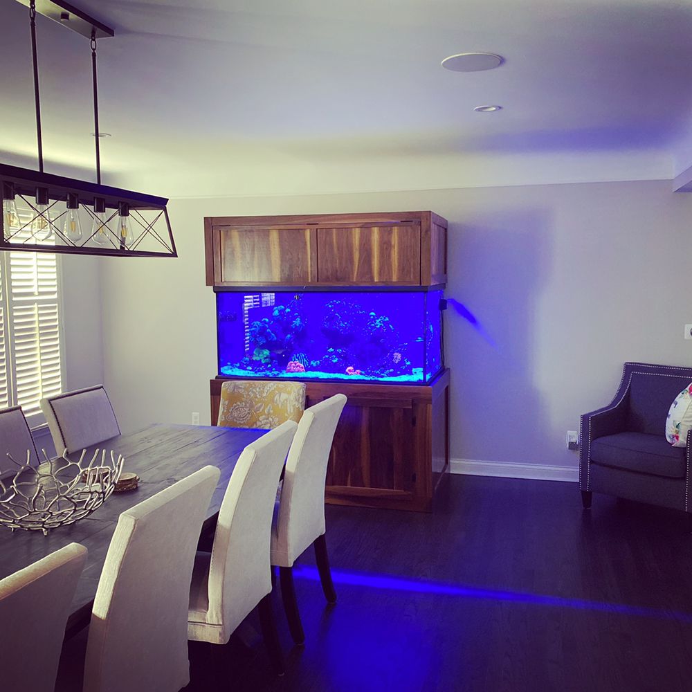 DETROIT AQUARIUM COMPANY Updated July 2024 11 Photos Warren