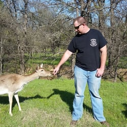 Hidden Lake Safari Ranch and RV Park - Hubs love the deer