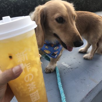Sun Tea Mix - Bubble Tea Near Me - Honolulu, Hawaii