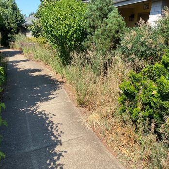Oregon Garden Resort - Taking a leisurely stroll from our room to the pool, I had to watch out for ticks and spiders. What a mess! - Hotels Near Me - Silverton, Oregon