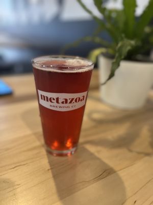 Metazoa Brewing Company by null