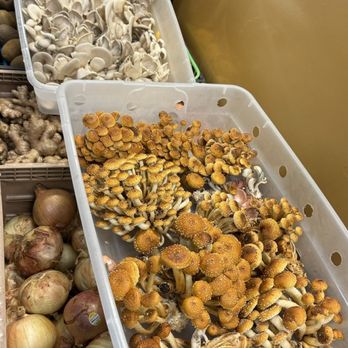 Chef Kelly’s - Chestnut Mushrooms $18/lb - Food Delivery Services Near Me - Port St. Lucie, Florida Chef Kelly’s - Chestnut Mushrooms $18/lb - Food Delivery Services Near Me - Port St. Lucie, Florida