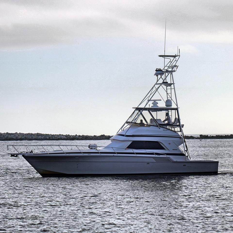Charter Boat Into the Blue Logo