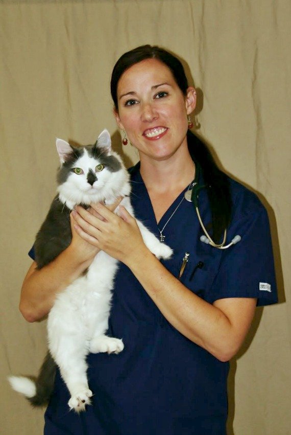 BULL CREEK VETERINARY SERVICE Updated April 2024 3700 N M 43 Hwy