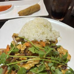 Oriental Cafe - Thai ginger chicken