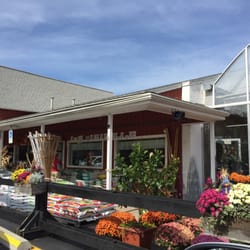 Green Acre Farms - Must be Fall - Pumpkin and Mums